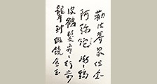 少儿实践活动证书示例