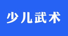 厉害了，一睹少儿武术考级风采(图文)